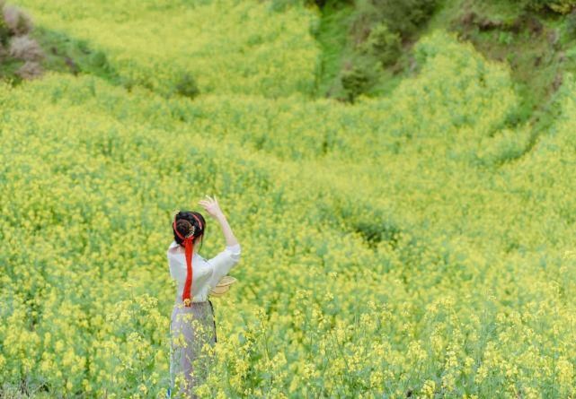 樱花树下，油菜花旁，篁岭春色与汉服古风撞个满怀！