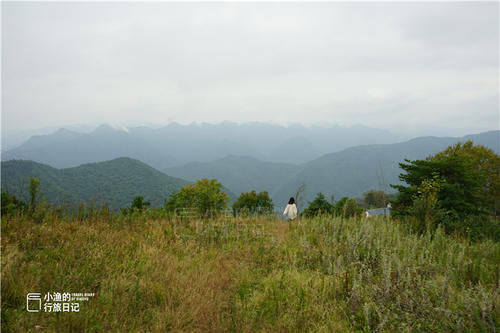 陕南秦岭深山，90多岁老人养鸡种花，这样的山居生活你向往吗？