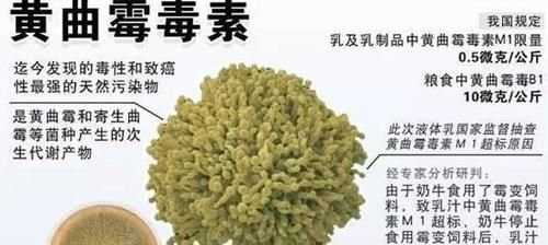 冰箱|冷冻的馒头能吃吗？保存3天就会产生黄曲霉素？文章告诉你答案