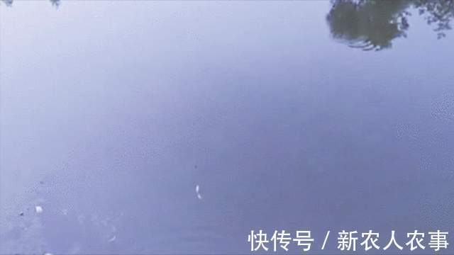 安徽一男子火了,直接坐在自己家的屋中钓鱼,网友:房子不卖吧?