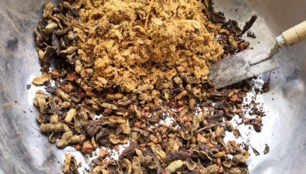 居家养花:掌握这2门小技巧,打理盆栽将变得简单许多