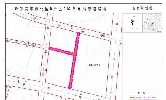 绿地率|新区多板块规划调整！公园、学校、道路......配套更加丰富