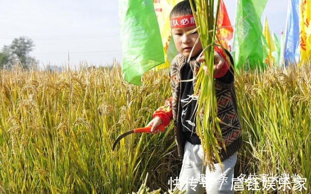 好习惯|教育就是培养习惯6个习惯,父母一定要让孩子养成