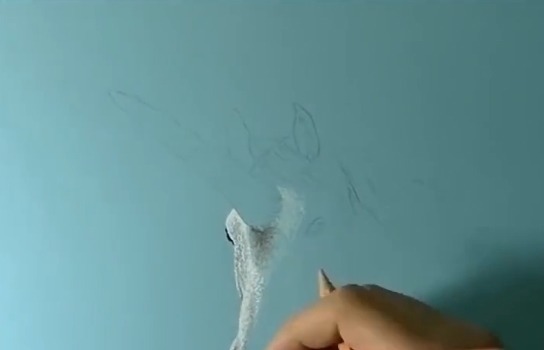 手绘$美术生手绘独角兽,超写实手法惊艳全场,网友:比照片还真实