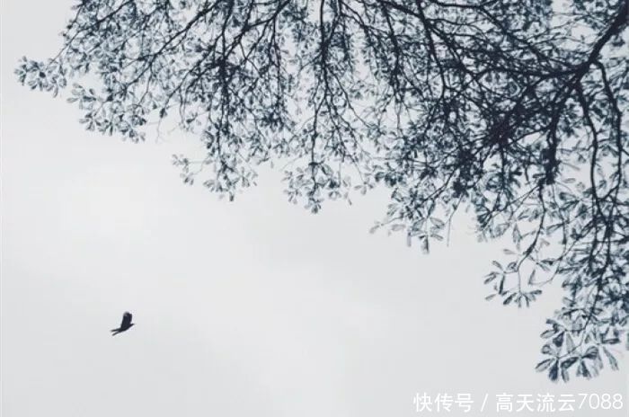 自乐|七绝《渔者自乐》新韵