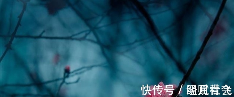 春天里@李煜水平很高的一首词,通篇都在描写忧愁,可是却没有一个愁字!