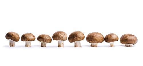 奶茶|经常便秘的人,尽量少吃3样食物,让肠道越来越通畅