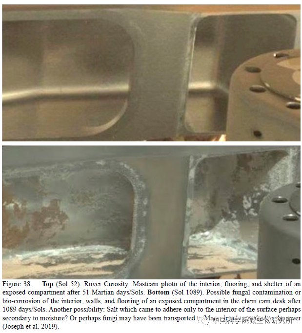 非生物 火星上存在真菌吗？