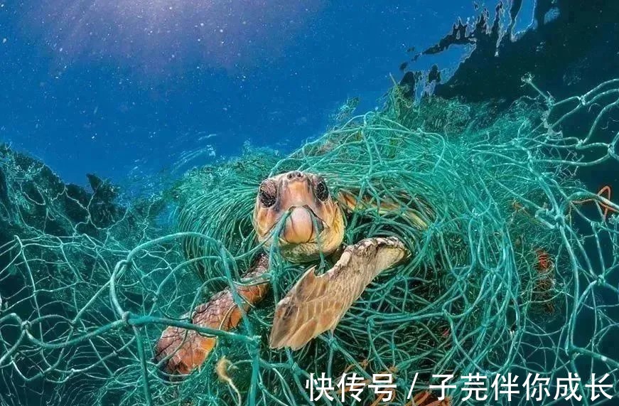 垃圾|一条内裤穿20年,厕纸晒干重复用,90后女孩几年省下一套房