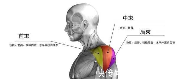 上胸|上胸发力总不好、练不大,原来是因为“它”,我们应该如何改善