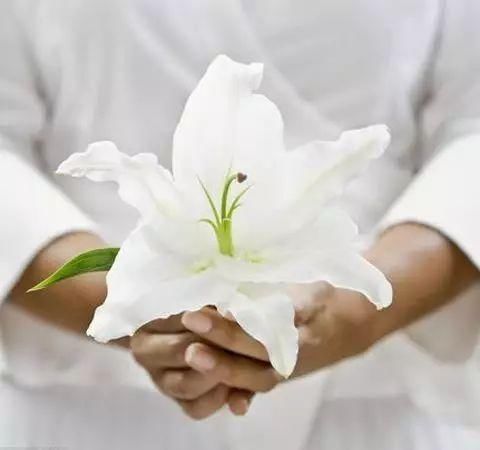 补脾,是一切疾病治疗的关键