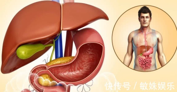 养肝护肝|肝炎的“死对头”,每天吃一点,疏肝理气排肝毒,远离肝病肝硬化