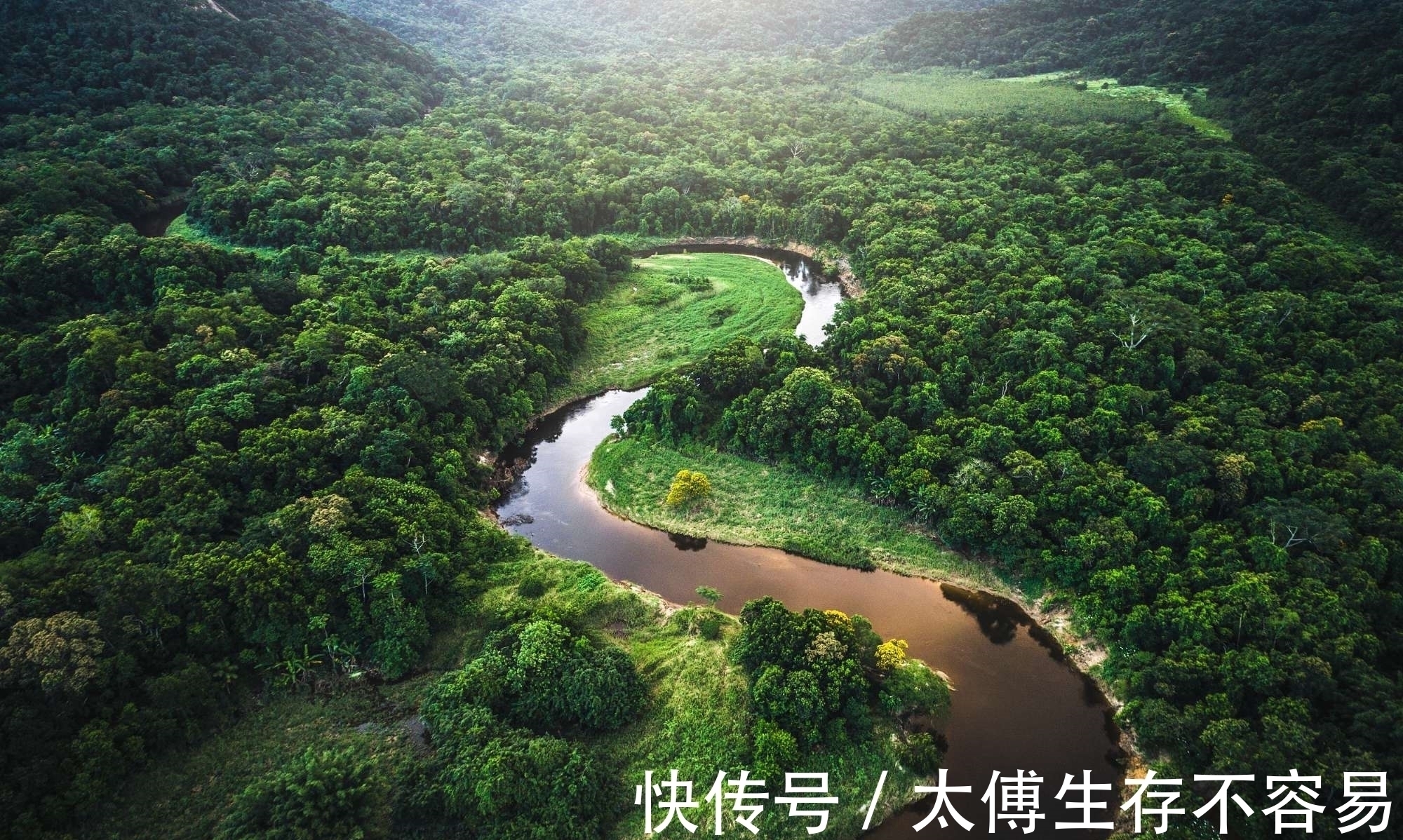 南美洲&《山海经》中“人面兽”现身南美洲,长相软萌,引无数专家前往