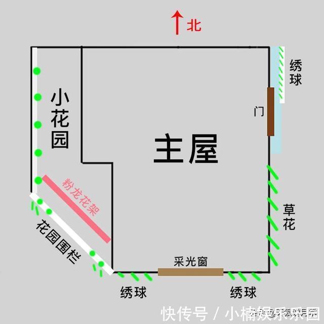 毛地黄|小空间花园打造指南丨四季开花不断，她是怎么做到的？
