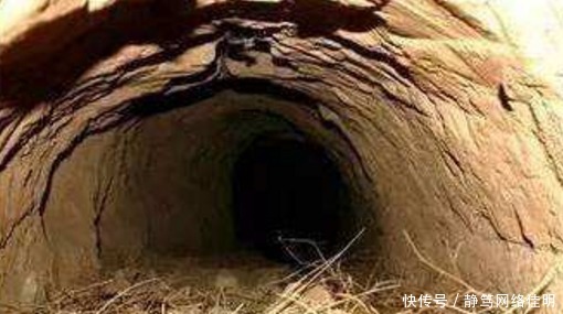 墓葬|武则天儿媳墓葬被盗,文物不见踪影只剩矿泉水瓶,专家丧心病狂