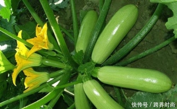 西兰花都靠边,此菜才厉害,清热解毒,皮肤细