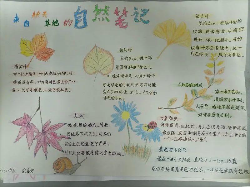 云端科普 探索未知——联建小学科技节精彩集锦