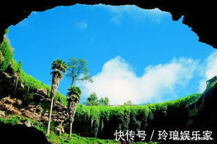 做一枚植物系青年到底有多快乐跟着小编去养养眼吧!