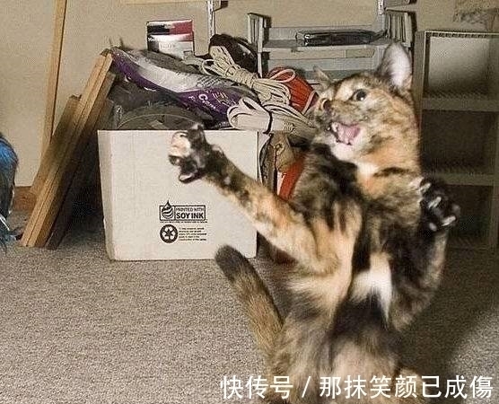 |搞笑图片幽默段子笑话:兄弟你先把烟放下再说吧,看书是没用的