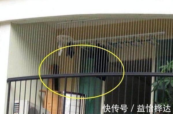 装修|阳台到底要不要封我家装修时没听劝，入住后才发现是个坑