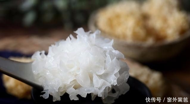 “银耳”和它一起炖着吃,比燕窝的效果更优秀,但很多人不知道