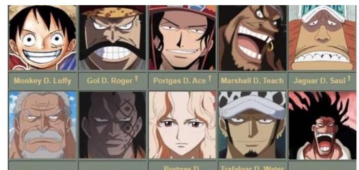 天敌|海贼王:d之一族的秘密 神之天敌