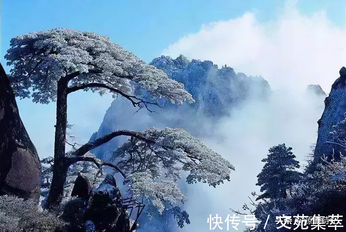 朝中措!蝶恋花·咏松/朝中措·冬日重登余石岭