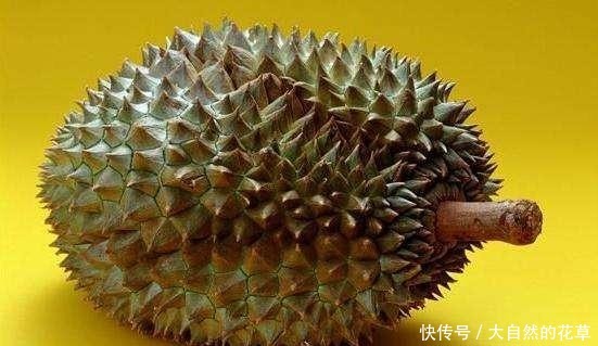 买榴莲时,牢记这3个小诀窍,保证买到的榴莲软糯又香甜,皮还薄