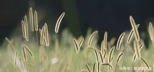 秋风秋雨，聚散依依