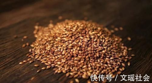 疏肝解郁|肝堵全身堵，引發頑疾！疏肝解郁，健脾消食！這一味中藥很管用！