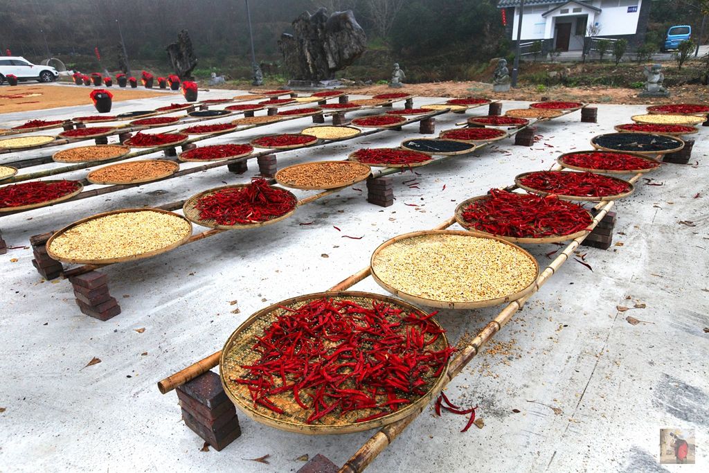 顺昌|自驾顺昌遇见秋的美丽，扯几许浪漫与精彩