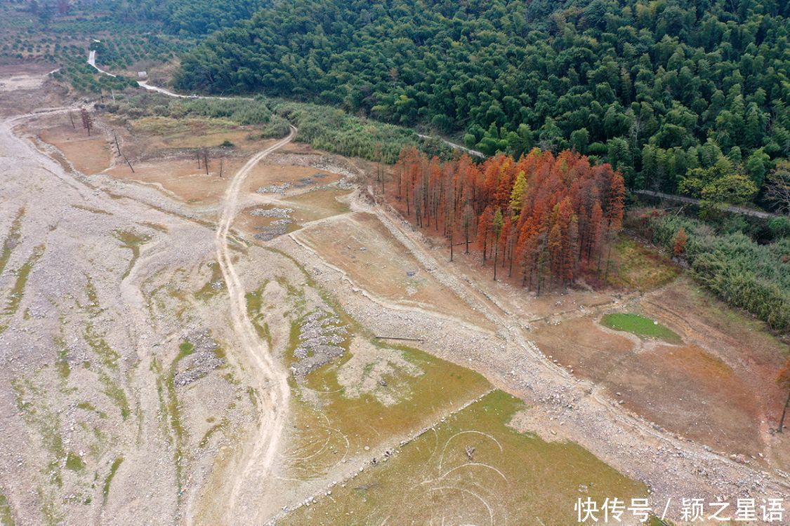 红杉林|水库水杉红，风光之美，缺水之忧