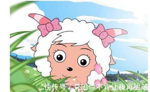 马铃薯|10条好玩的冷知识,母绵羊没有犄角,那美羊羊是怎么回事