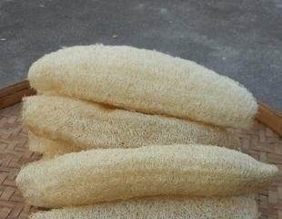 花盆底下垫点这个东西,花草直接长疯了,养花十年不烂根