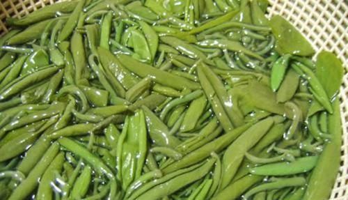 害草|5种让人头疼的“害草”,个个都是“抗癌王”,比蒲公英好100倍