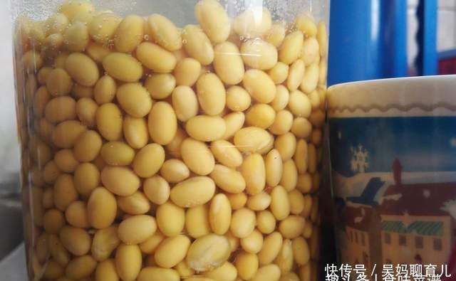 在家|教你在家发豆芽,不用土壤不用肥料,3天就能吃,脆嫩营养又卫生