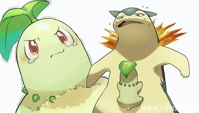 口袋妖怪:人气最低御三家有哪些?不服来辩!看到它们无比真实!