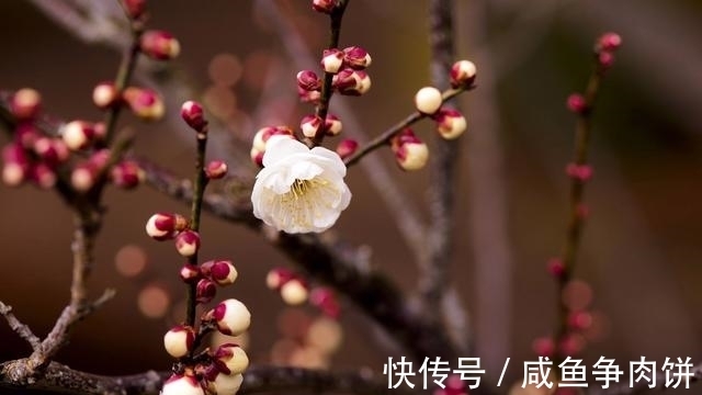 金牛|一星期后，相思无尽，再遇良人，终见明月，无悔白首，旧情复燃