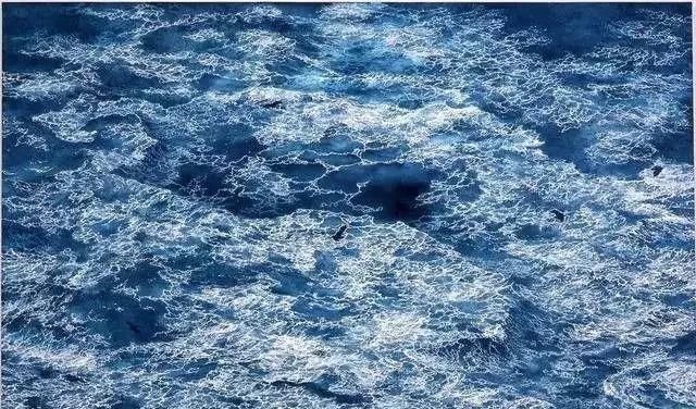 幅画!一幅画画了3年,细到要用放大镜,他把钢笔画玩到了极致