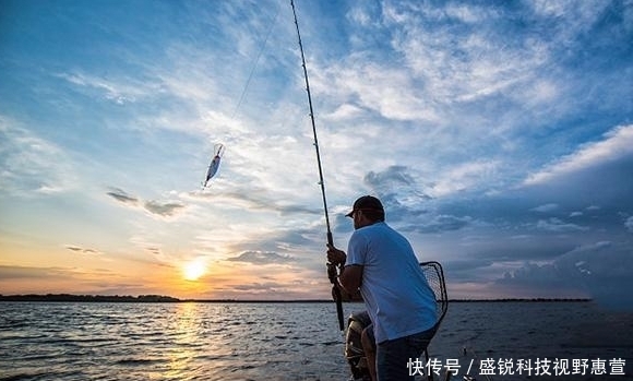 新手|夏天钓鲈鱼用上这两招,下竿就上鱼!新手多读几遍——盛世三渔