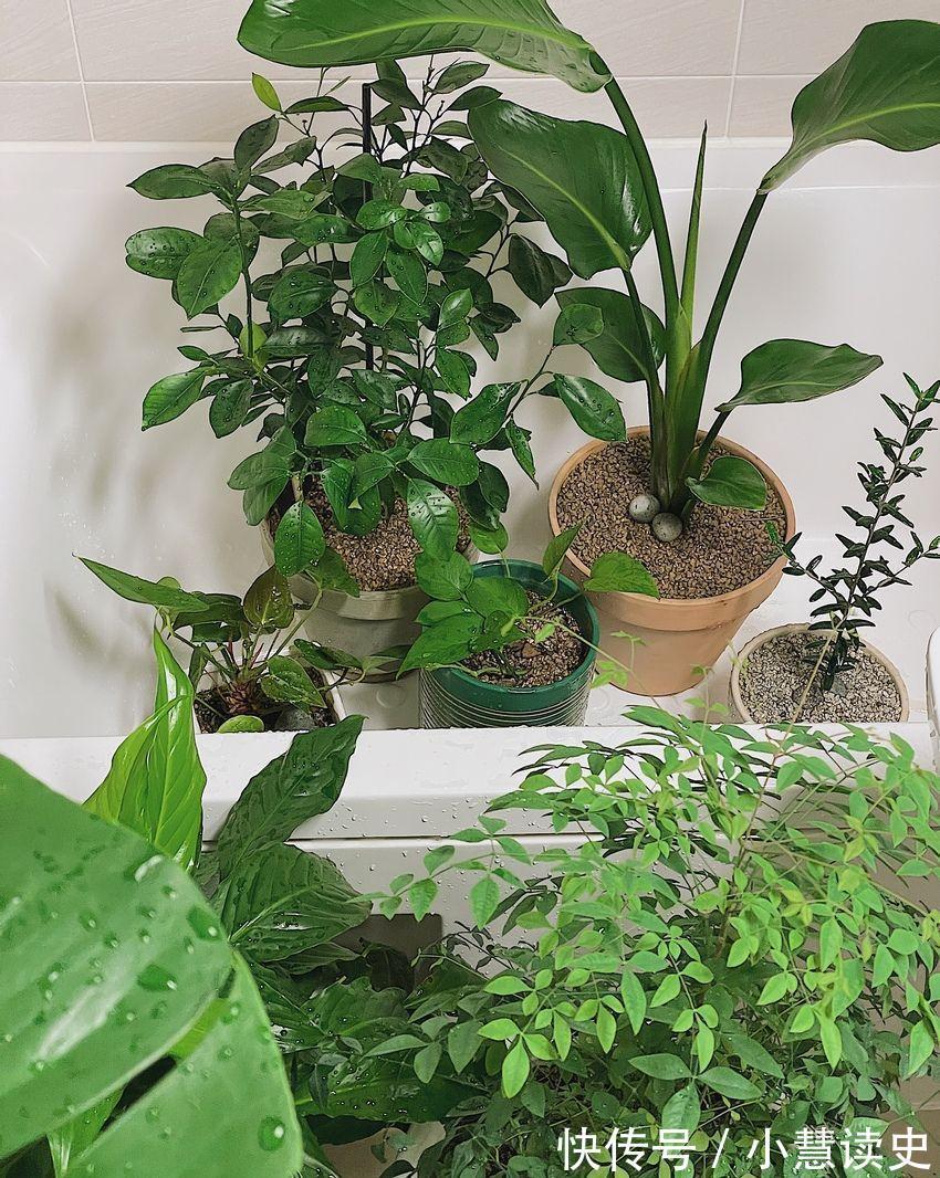 业主|93㎡的房子,业主遵循内心选择,简简单单的效果反而舒适有品位