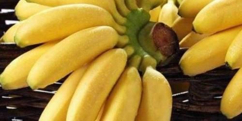 康普|中年女性养生，适合吃的食物，皮肤细腻，排毒消脂，越吃越年轻