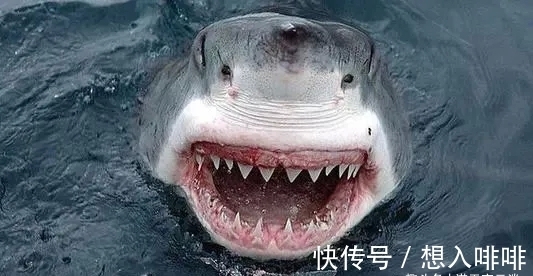 30个冷知识:真实存在于世界,但却鲜为人知的奇怪知识