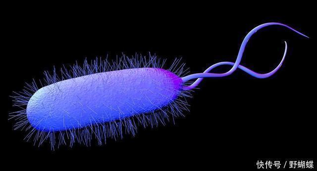 上身|母女二人双双查出胃癌,医生2样东西吃的太多,很容易惹癌上身