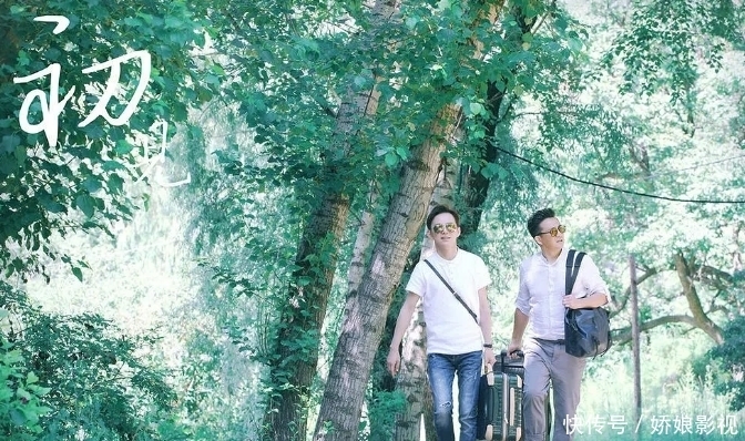 顶流国综收视第一，却被骂成“老鼠屎”，张艺兴这次真的做错了？