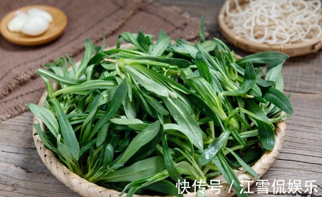 野菜|开春挖野菜，送你“野菜大图鉴”，教你轻松识别20种野菜