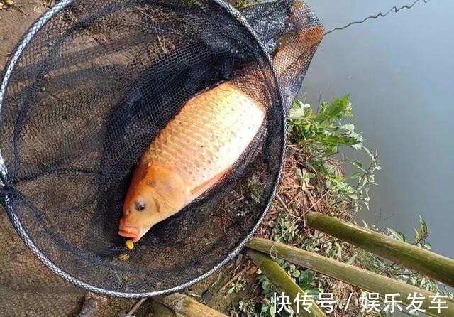 大鱼|浮漂加粗真的不灵敏吗？别一错再错，告诉你如何选漂调漂