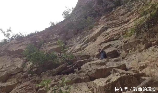 崖柏|带你走进深山的采崖柏人,有人靠它赚上亿,有人因此丧命,太珍贵