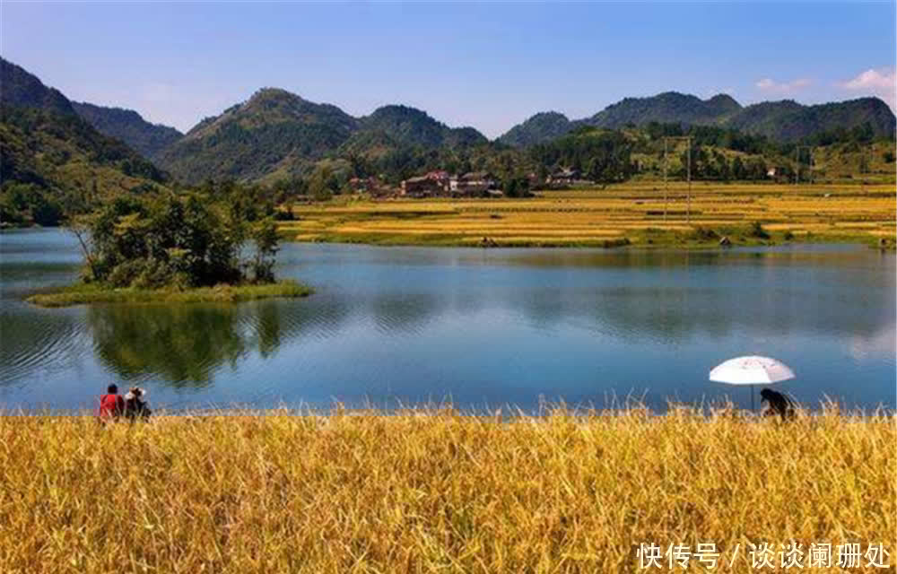 钓鱼|钓鱼技巧:小满鱼漫塘、芒种鱼忙碌,小满到芒种,钓鱼注意换招数