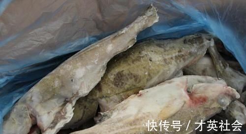 被人误解最深的鱼,因冷冻被人嫌弃,其实它比鲅鱼香,比鲫鱼营养
